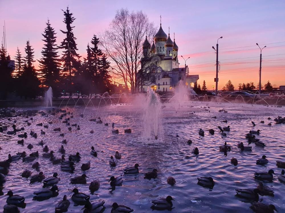 Фото telegram-канала №Михаил Шишов».